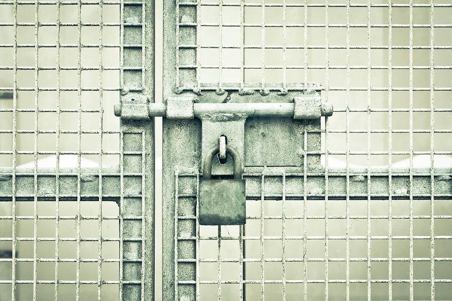 Black And White Photograph - Gate padlock by Tom Gowanlock