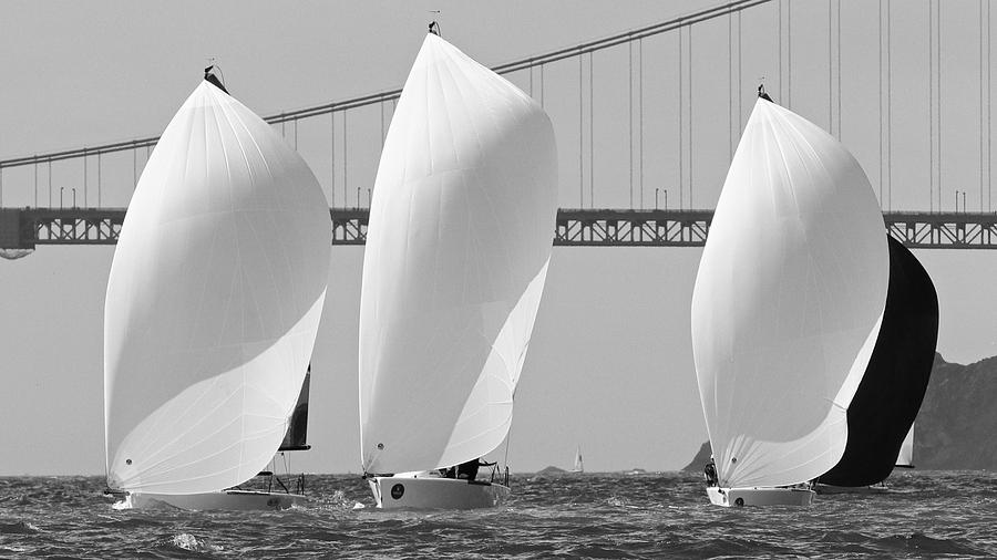 Gate Spinnakers Photograph by Steven Lapkin