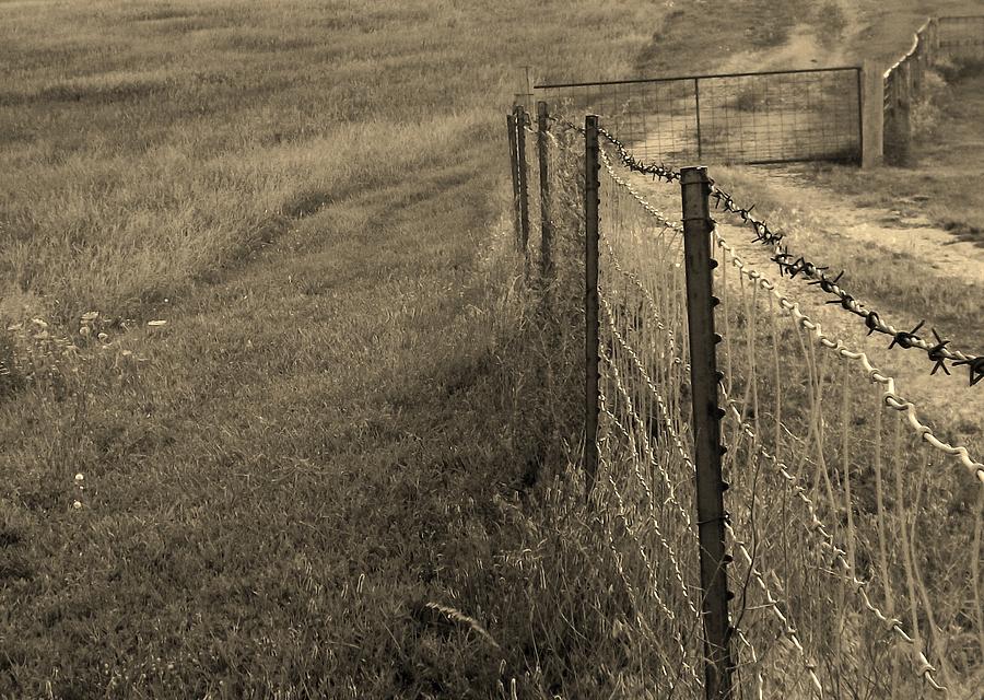 Farm Photograph - Gated and Barbed sepia by Elizabeth Sullivan