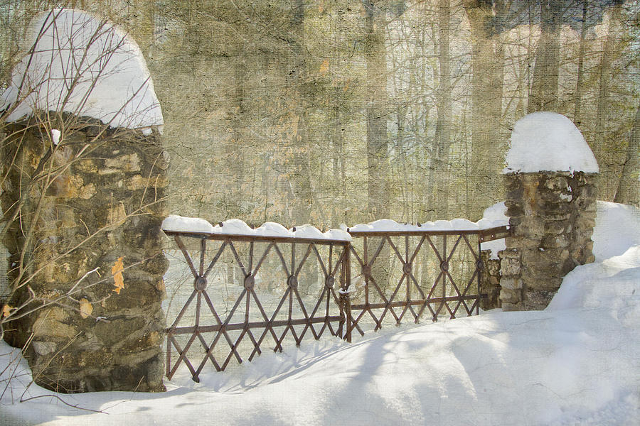 Gated In The Snow Photograph by Betty  Pauwels 