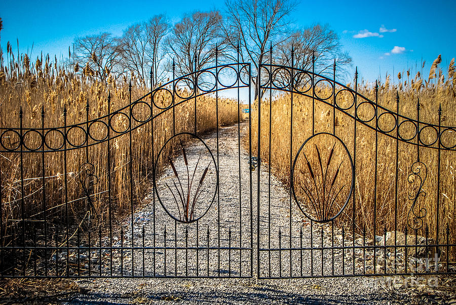 Gated Pathway Photograph by Grace Grogan