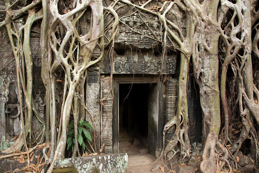Gates Embraced By Jungle, Ta Prohm Photograph by Pawel Toczynski Gates Embraced By Jungle, Ta Prohm Photograph by Pawel Toczynski