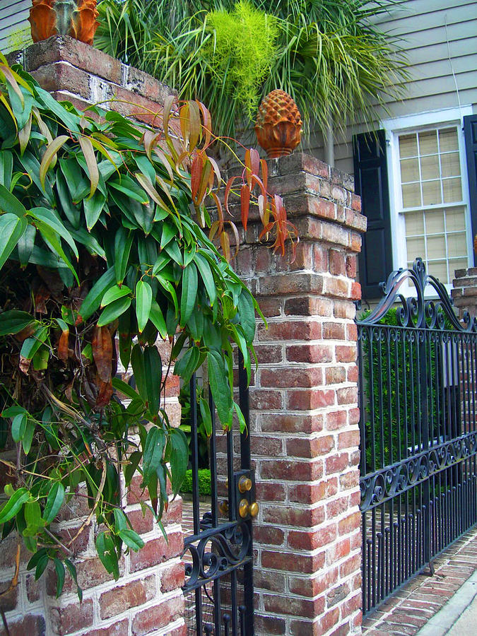 Gates of Charleston 2 Photograph by Deborah Ferree