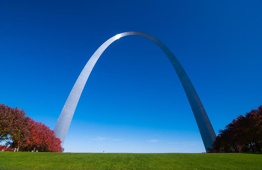 Gateway Arch front and red trees Photograph by Davel5957