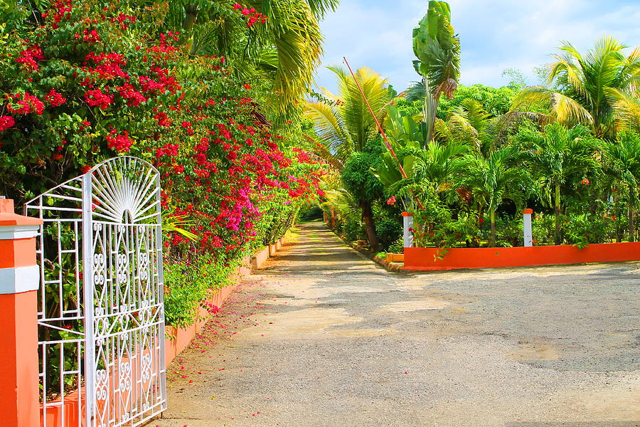 Gateway to Jamaica Photograph by Debbie Levene