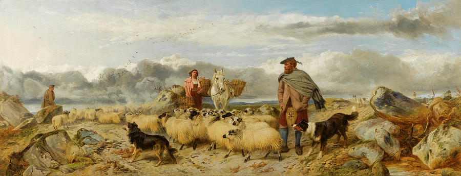 Gathering the Flock Painting by Richard Ansdell