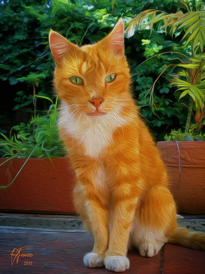 Gato dOro or Cat of Gold Digital Art by Vincent Franco