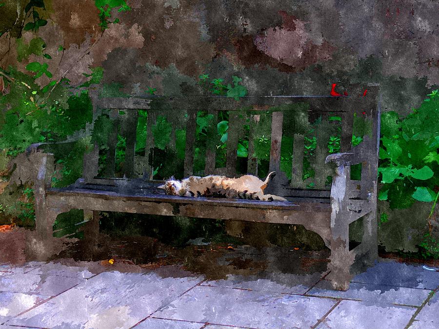 Nature Painting - Gato Dorme by Duende Artworks