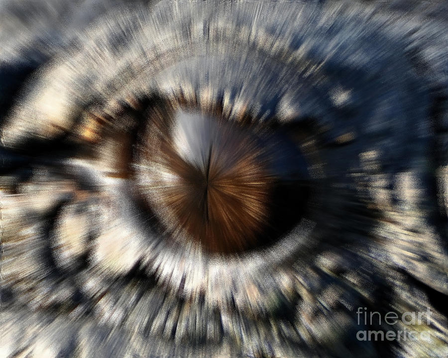 Gator Eye - Digital Art  Photograph by Al Powell Photography USA