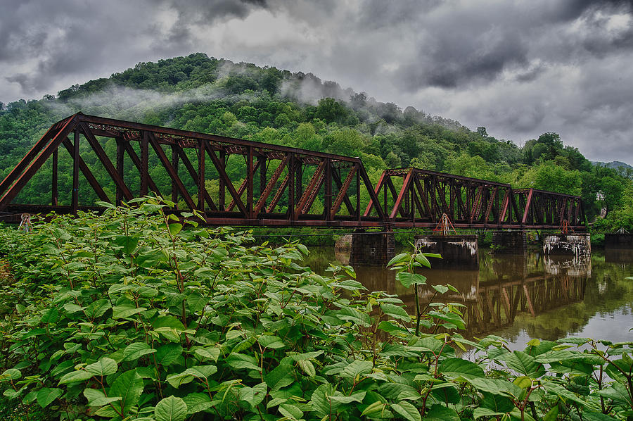 Gauley River Railroad Bridge Photograph by Myer Bornstein