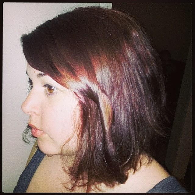 Gave My Hair A Bit Of A Cherry/plum Photograph by Robyn Addinall