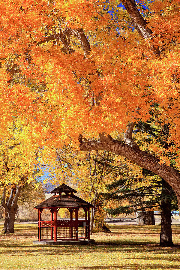 Gazebo In Autumn By Cstar55