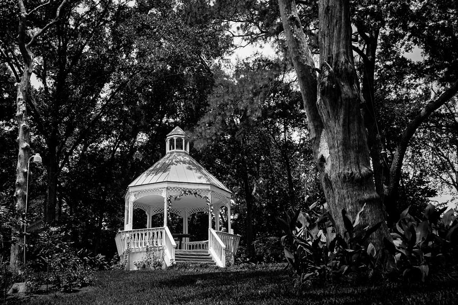 Gazebo in the Trees Photograph by Tim Stanley