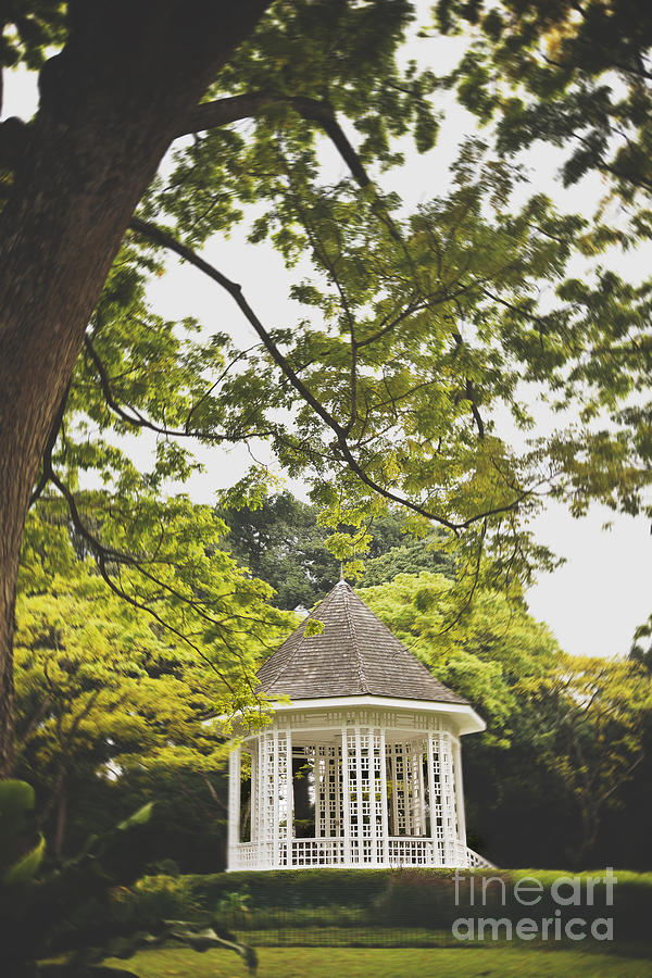 Flower Photograph - Gazebo waiting for you by Ivy Ho