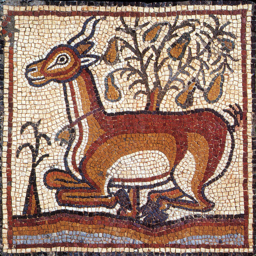 Gazelle, Byzantine Mosaic, 6th Century Photograph by Science Source