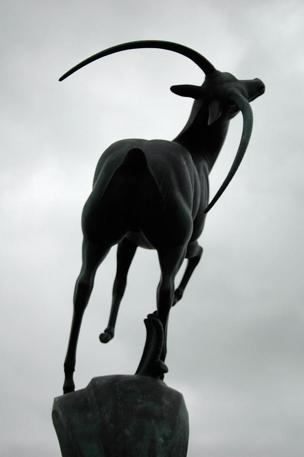 Detroit Photograph - Gazelle Statue 2 by Gary Marx