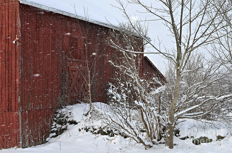 Geauga County Ohio Winter Photograph by Lila Fisher-Wenzel