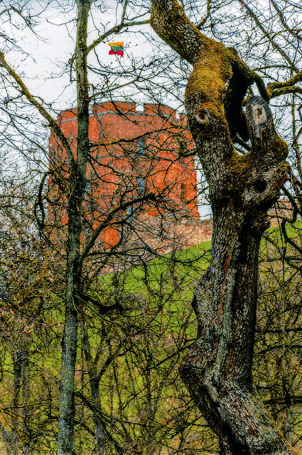 Architecture Photograph - Gediminas Tower through the trees by Yevgeni Kacnelson