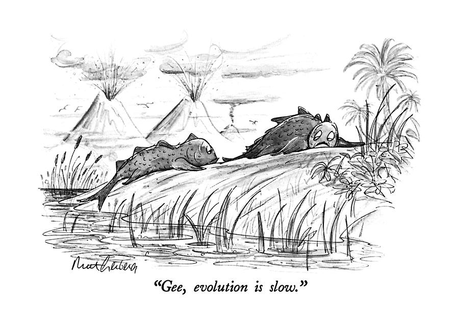 Gee, Evolution Is Slow Drawing by Mort Gerberg