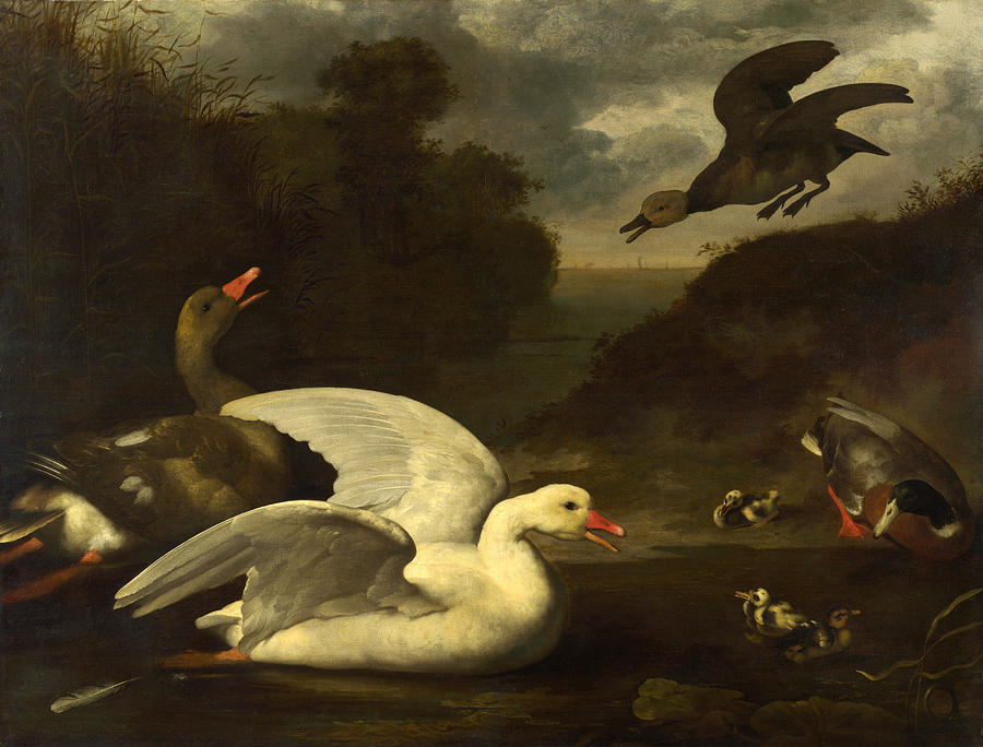 Geese and Ducks Painting by Johannes Spruyt
