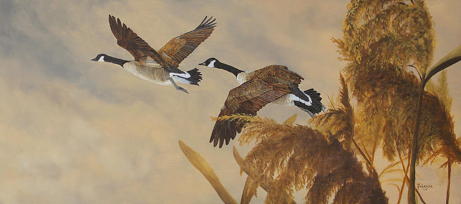Geese In Flight Painting by Johanna Lerwick