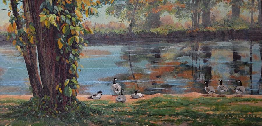 Sunbathing Geese Painting by Celeste Drewien