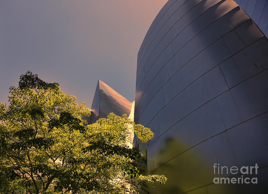 Gehry II Photograph by Chuck Kuhn