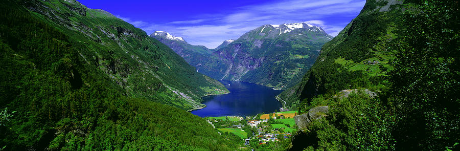Tree Photograph - Geirangerfjord, Flydalsjuvet, More Og by Panoramic Images