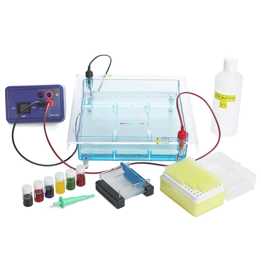 Gel Electrophoresis Equipment Photograph by Science Photo Library