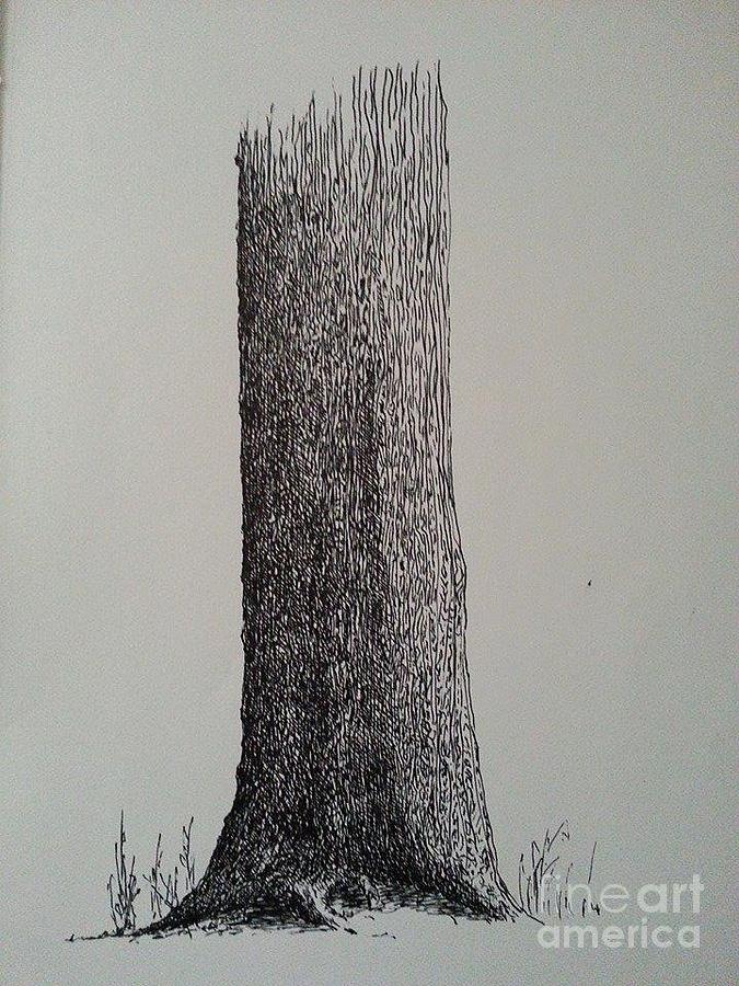 Gel Pen Tree Drawing by Tony Ramos  Pixels