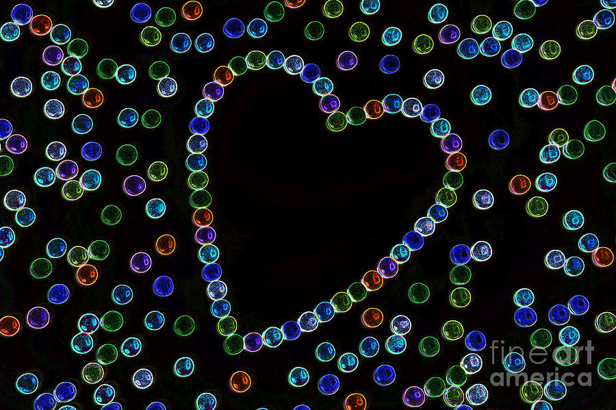 Valentines Day Photograph - Gem heart and gems by Rosemary Calvert