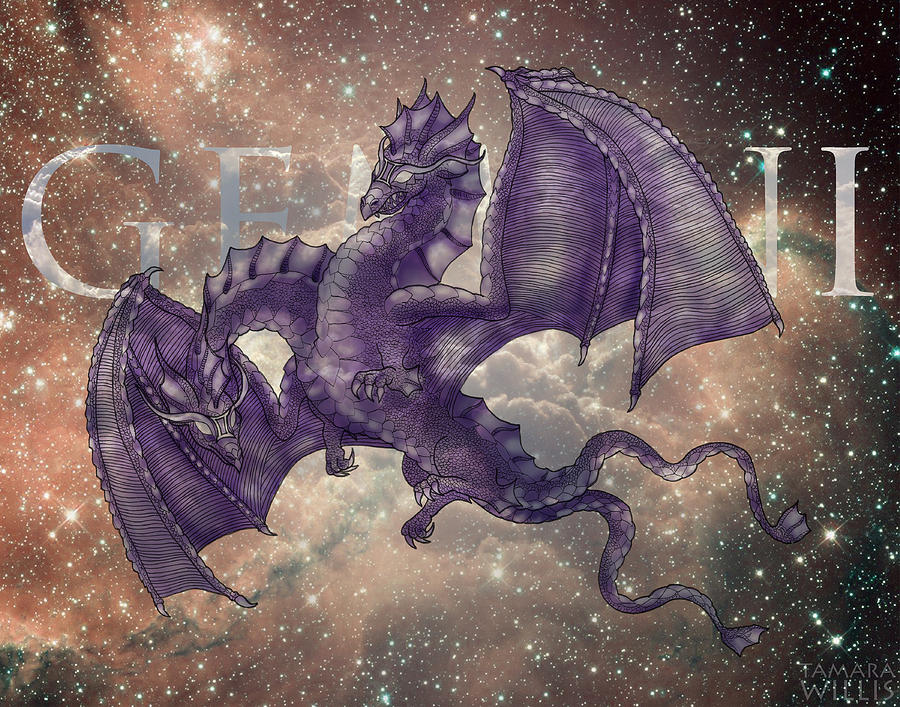 Gemini Dragon Digital Art by Tamara Willis Pixels