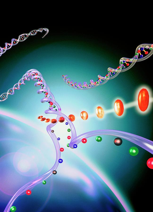 Gene Therapy: Pills And Dna Photograph by Alfred Pasieka/science Photo ...