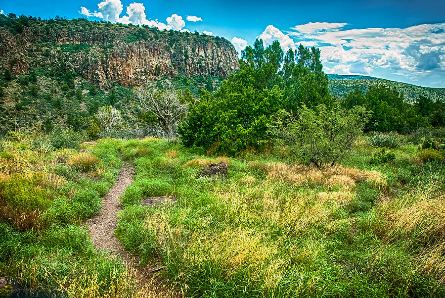 Apache Photograph - General Crook Trail in the Arizona Mountains by Bob and Nadine Johnston