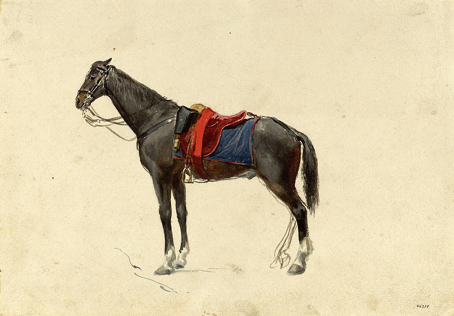 General Prims mare Drawing by Maria Fortuny