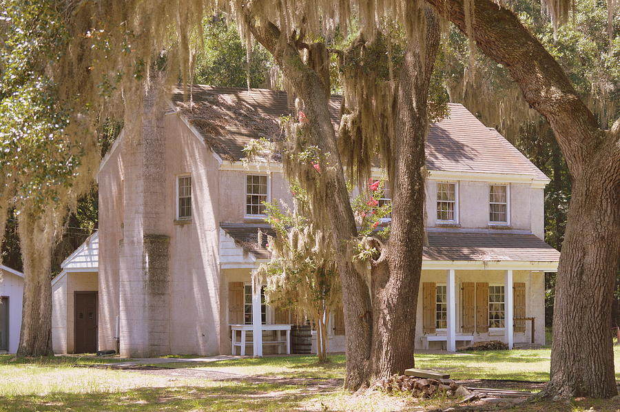 Tree Photograph - Generals quarters at Fort McAllister by Linda Covino