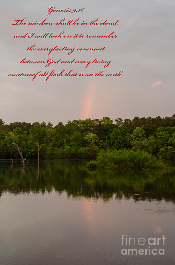 Genesis 9  16 Photograph by Donna Brown