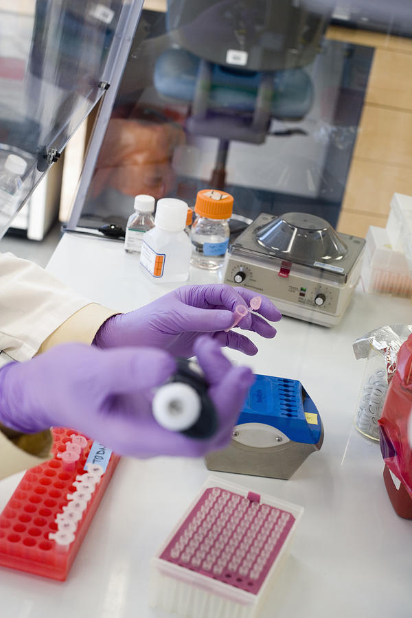 Genetics Researcher Using Pipette Photograph by Science Stock Photography