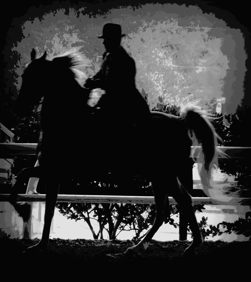 Gentalman Rider 1 Photograph by Sheri McLeroy