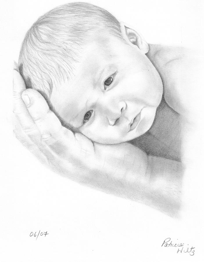 Gentle Innocence Drawing by Patricia Hiltz