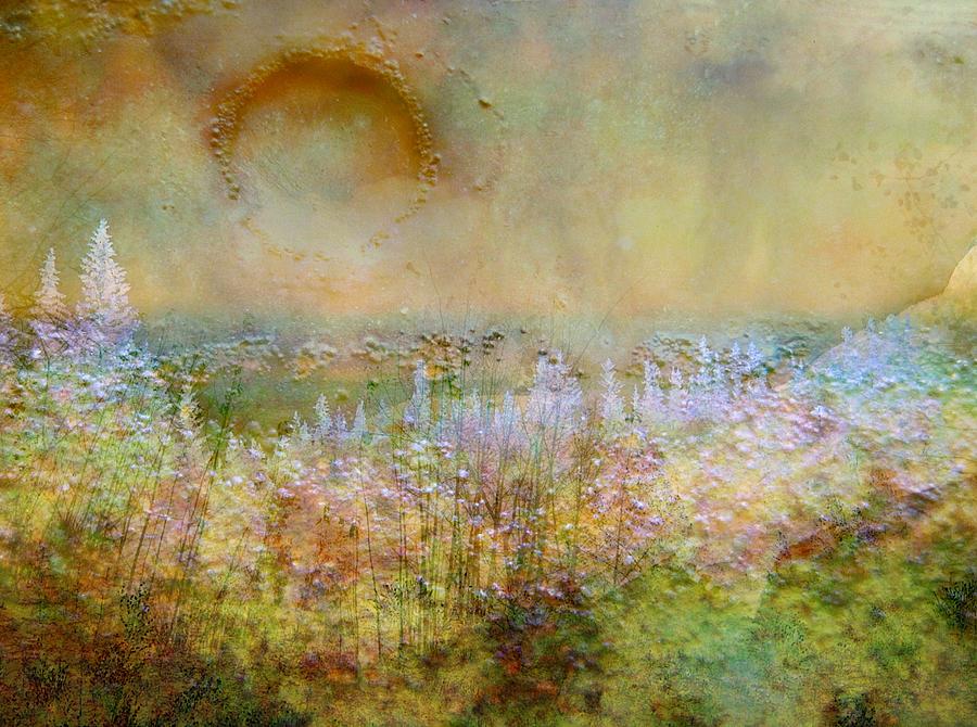 Abstract Photograph - Gentle Morn by Shirley Sirois