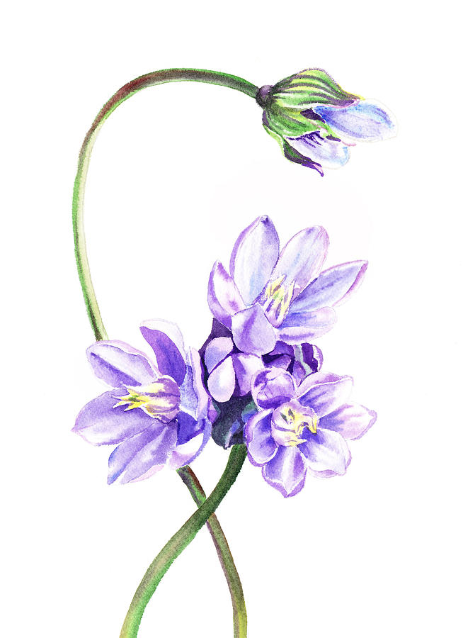 Gentle Purple Flowers Painting by Irina Sztukowski