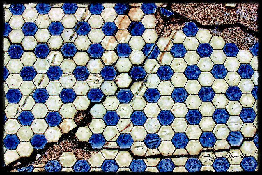 Geographic Tile Photograph by Sylvia Thornton