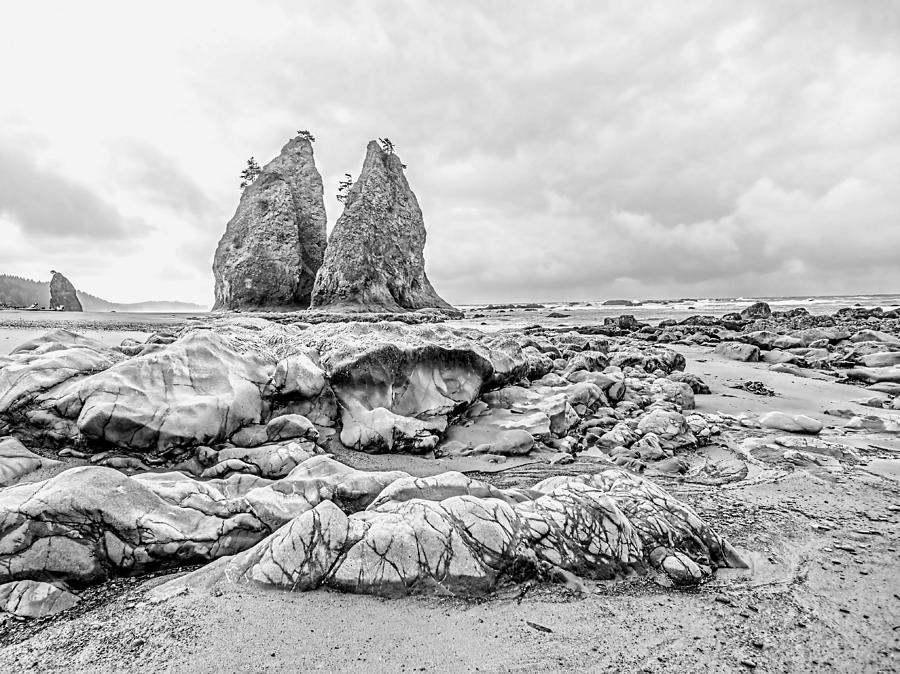 Geology in Black and White - Olympic National Park Photograph by Jenny Hudson