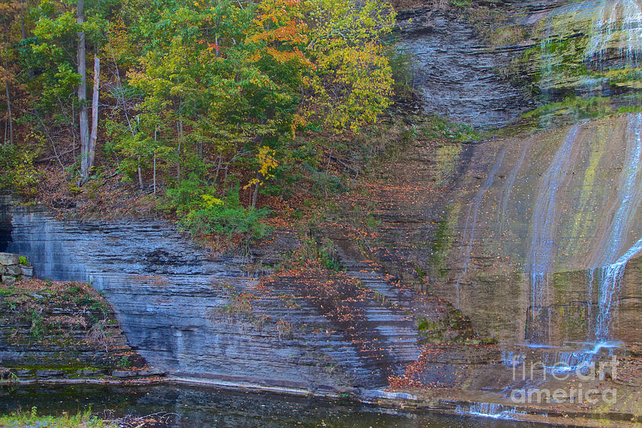 Fall Photograph - Geology by William Norton
