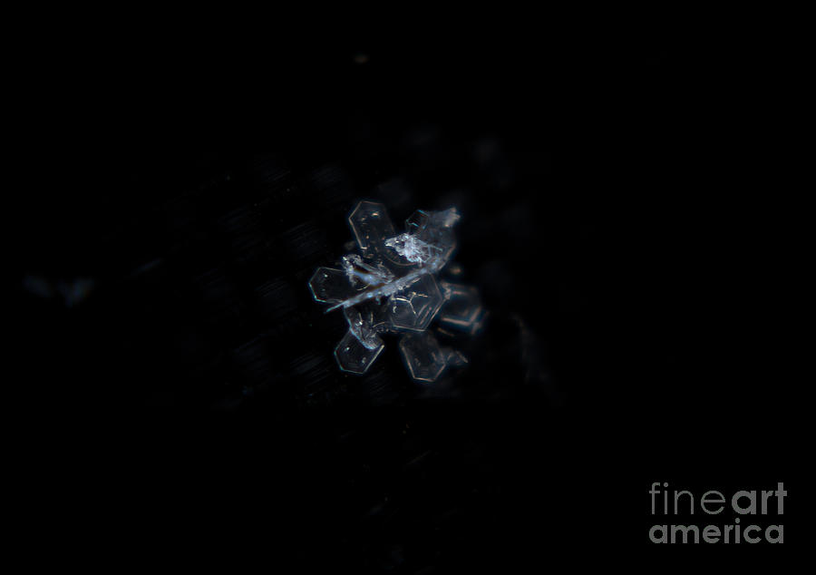 Geometric snowflake Photograph by Cheryl Baxter
