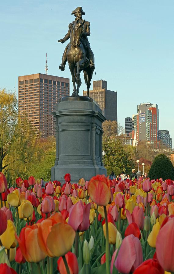 George Washington at the Boston Public Garden Photograph by Juergen Roth