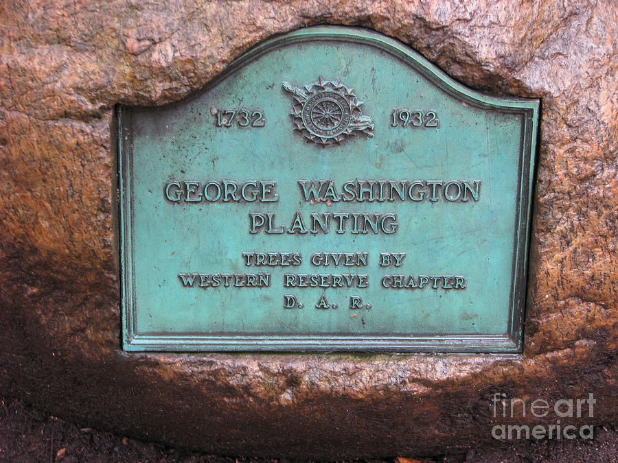 George Washington Planting Photograph by Michael Krek