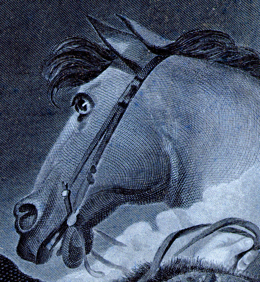 George Washingtons Horse Blue Digital Art