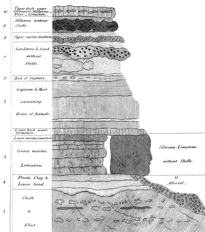 Georges Cuvier, Stratigraphic Profile Photograph by British Library